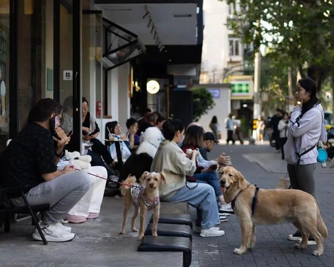 弃了双11爱上了“老年严选”AG真人网这届脆皮年轻人抛(图11)